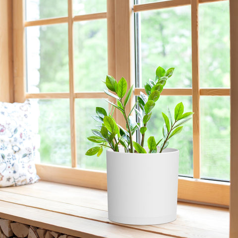 WSMKSZ maceta con planta en interior mostrando soporte y estética