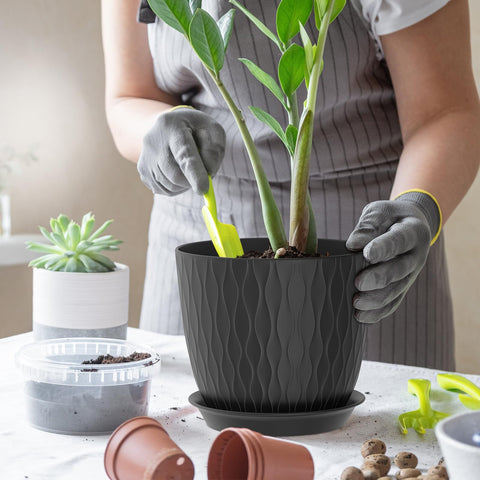 WSMKSZ maceta con suculenta en uso, facilita cultivo interior
