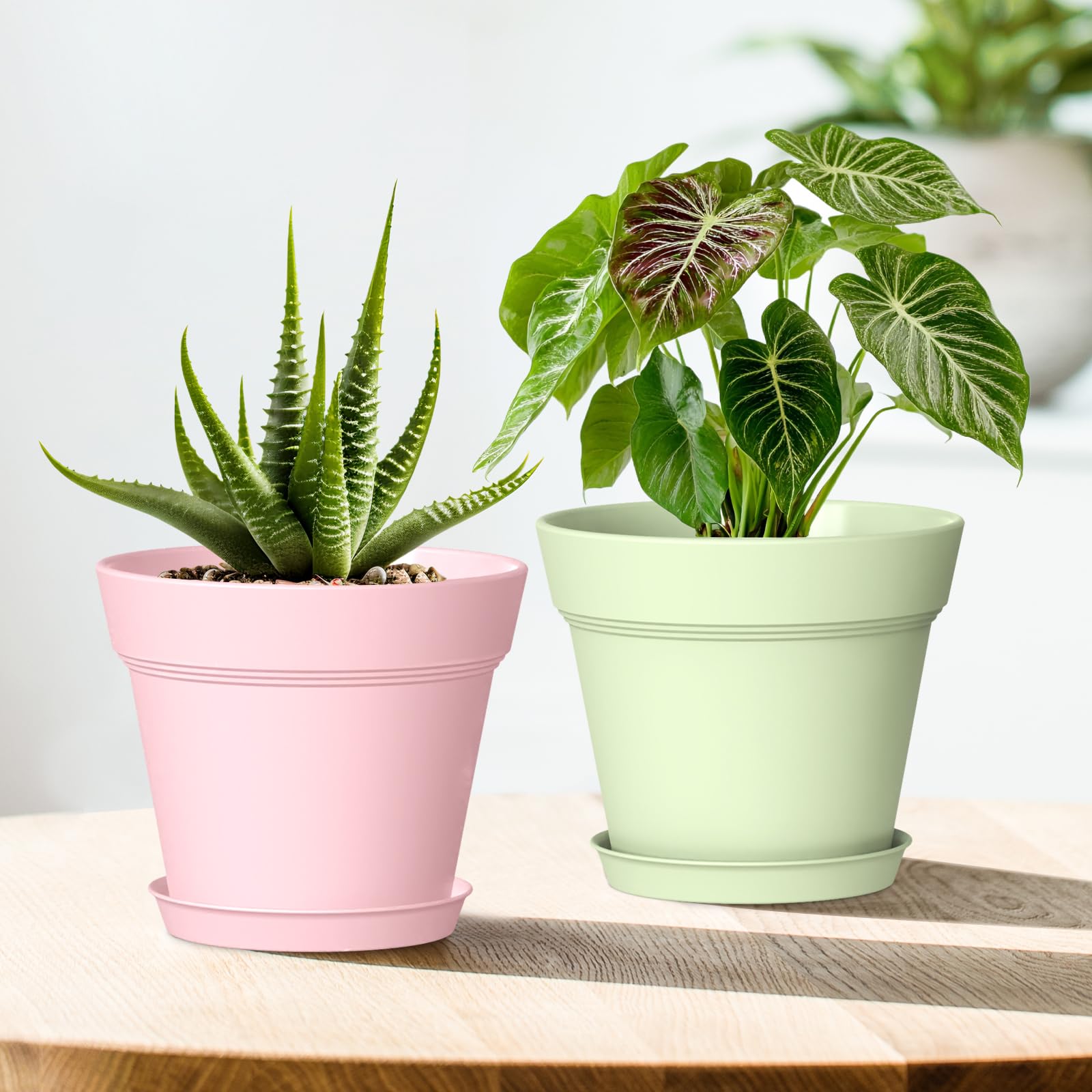 WSMKSZ maceta decorada estilo DIY, personalizable como regalo único