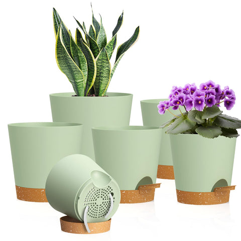 WSMKSZ maceta frontal conjunto mostrando diseño y colores, ideal para decoración