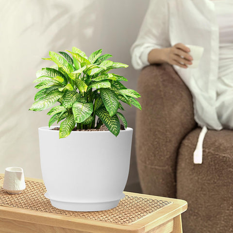 WSMKSZ detalle plástico resistente, superficie fácil de limpiar y duradera