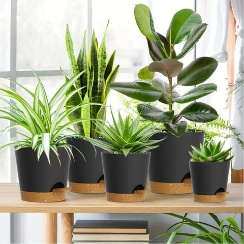 WSMKSZ macetas personalizadas como regalo, ideales para proyectos DIY