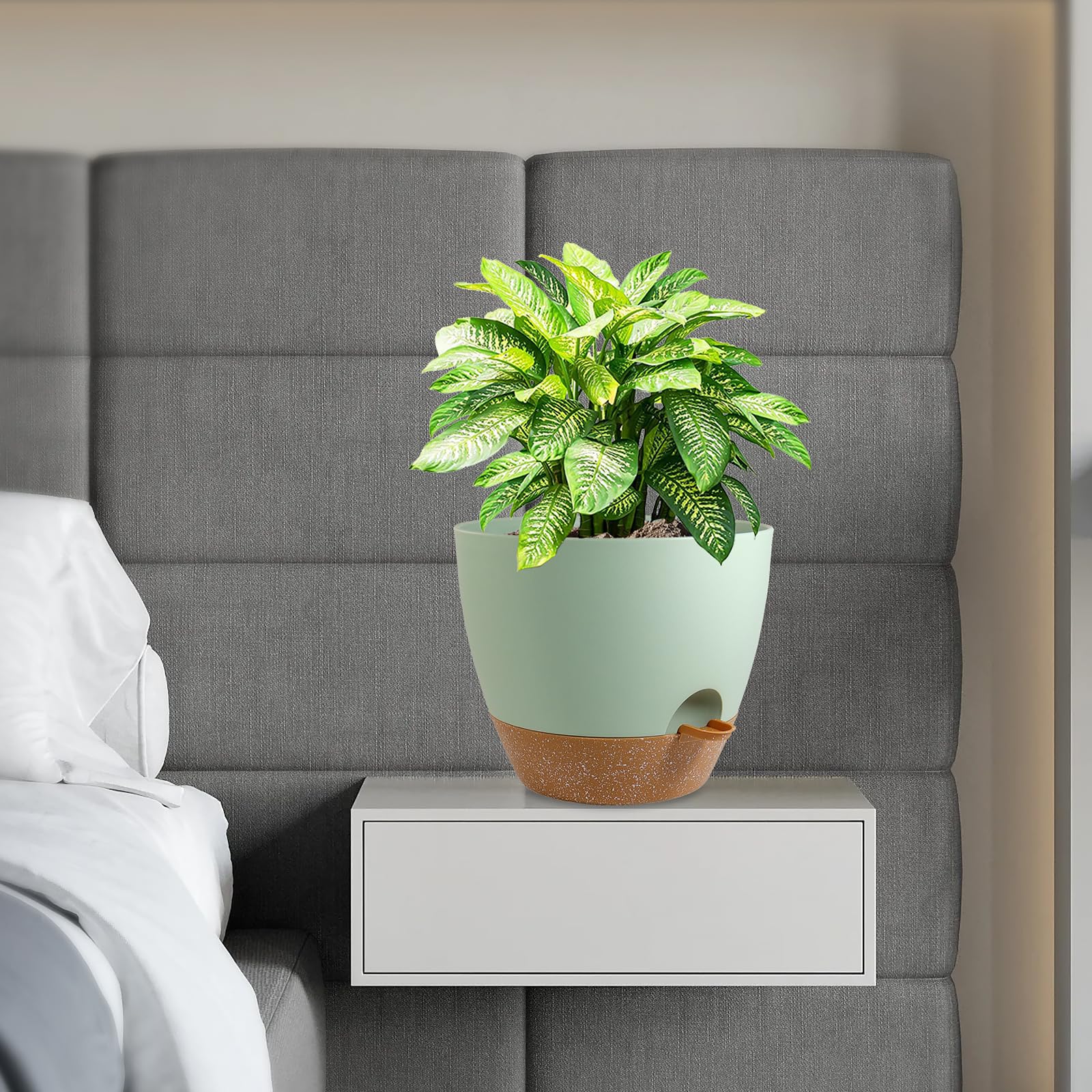 WSMKSZ maceta en mesa interior mostrando estética y adaptación a espacios pequeños