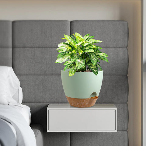 WSMKSZ maceta en mesa interior mostrando estética y adaptación a espacios pequeños