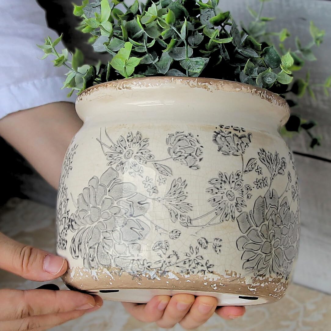 Xiaan Jiaju maceta envuelta como regalo ideal para aficionados a las plantas