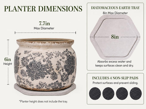 Xiaan Jiaju platillo de diatomeas absorbiendo agua para proteger superficies