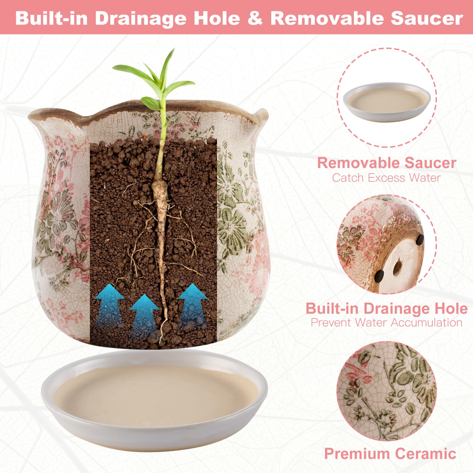 Xoogifae maceta con planta sobre mesa mostrando uso decorativo interior