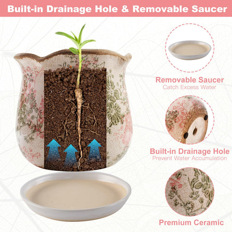 Xoogifae maceta con planta sobre mesa mostrando uso decorativo interior