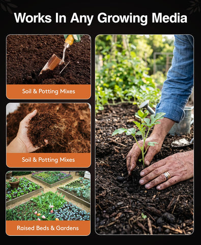 Xtreme Gardening maceta con plantas trasplantadas beneficiadas por mayor vigor