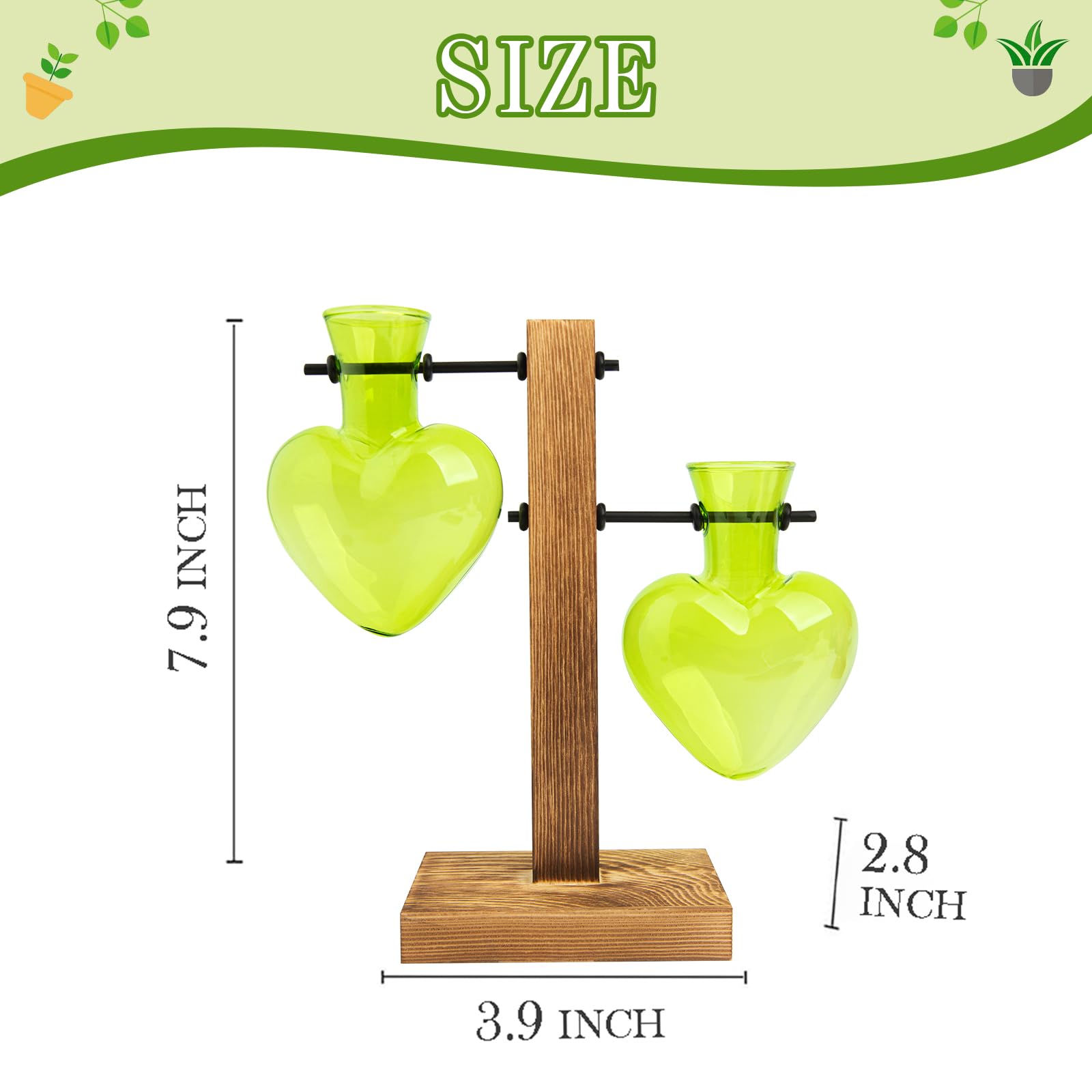 XXXFLOWER detalle del vidrio de borosilicato resistente y borde pulido, calidad duradera