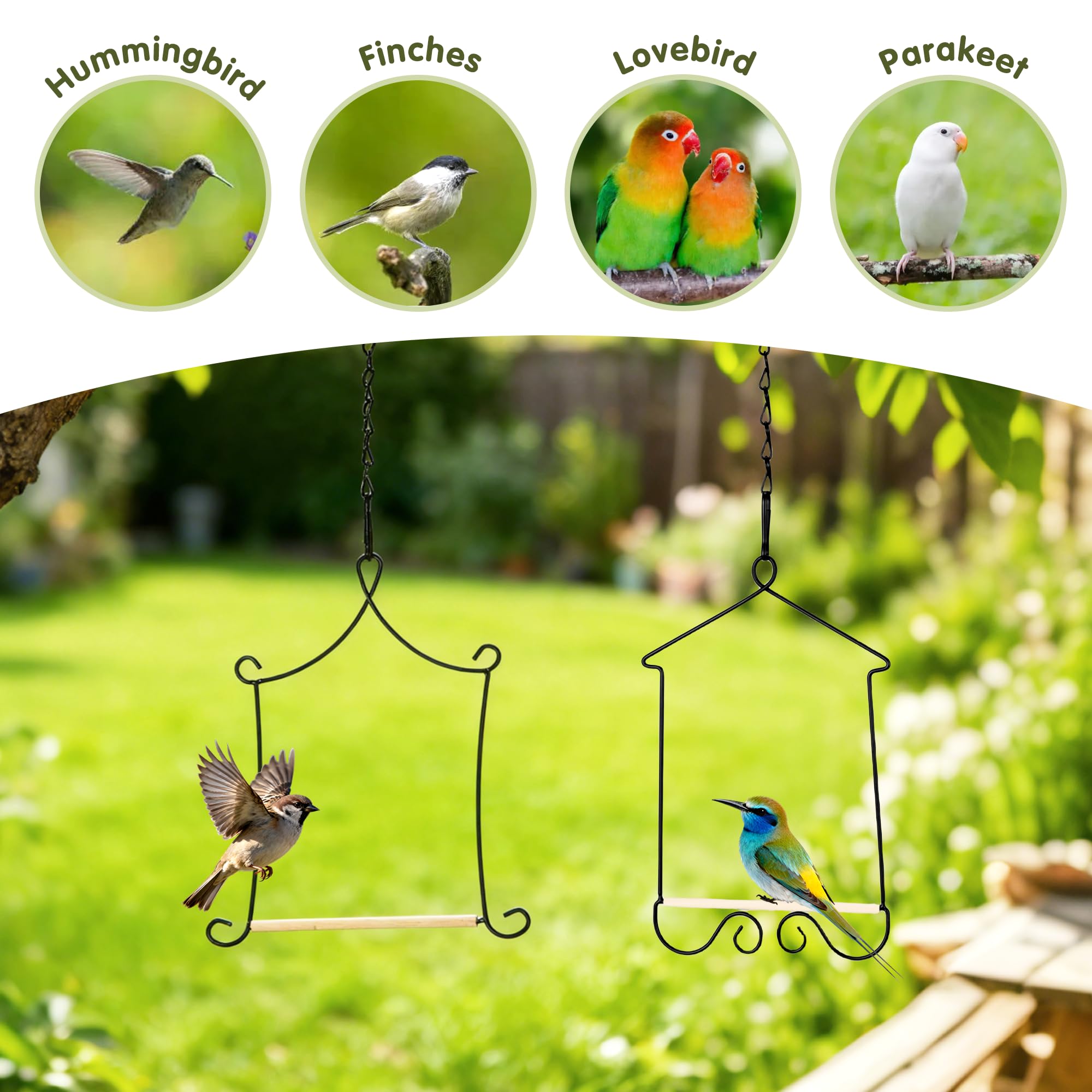 XYADX columpio colocado junto a un comedero para atraer y reposar colibríes