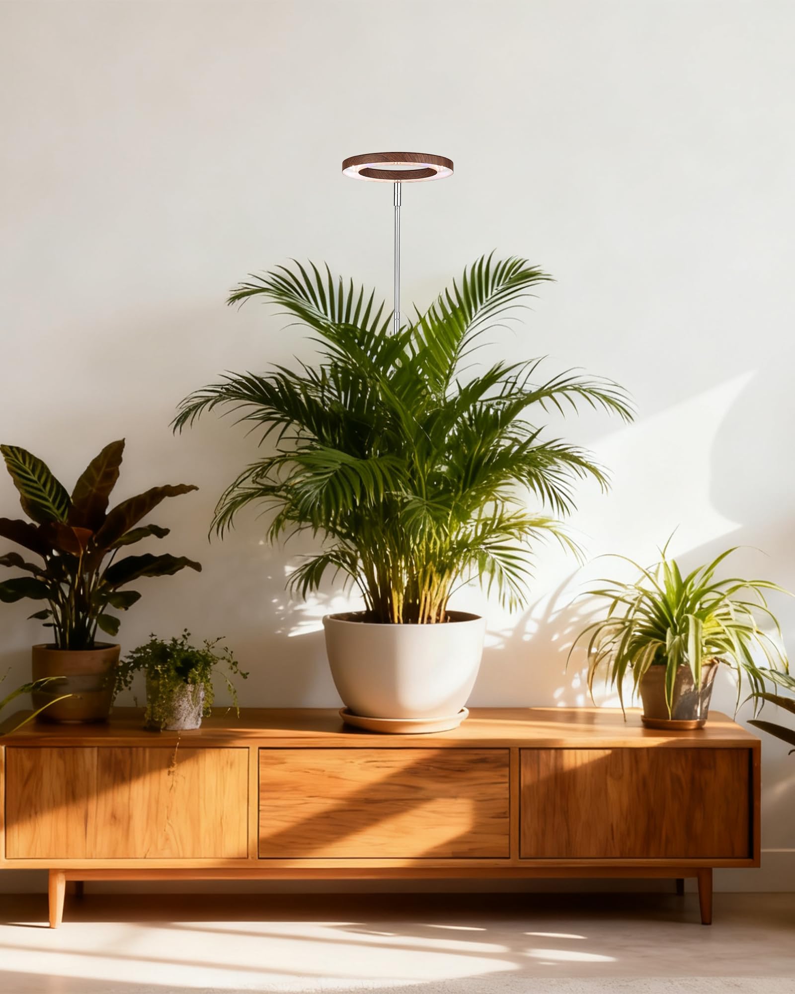 yadoker comparación de alturas extendida y recogida, adaptabilidad para árboles interiores