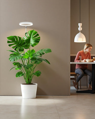 yadoker lámpara en sala decorativa beneficiando plantas de interior