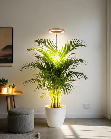 yadoker lámpara en salón aportando estética y luz adecuada para plantas