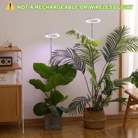 yadoker lámpara en sala con varias plantas mostrando uso en interior