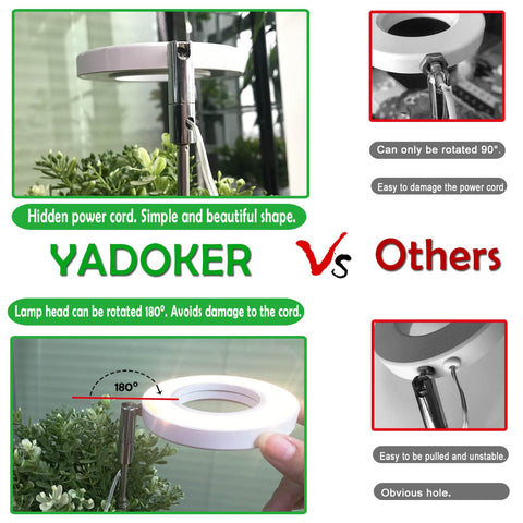yadoker en salón junto a plantas, mejora visual y crecimiento