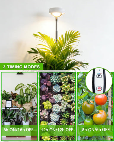 yadoker primer plano de LEDs y lente convexa, mejora la penetración lumínica