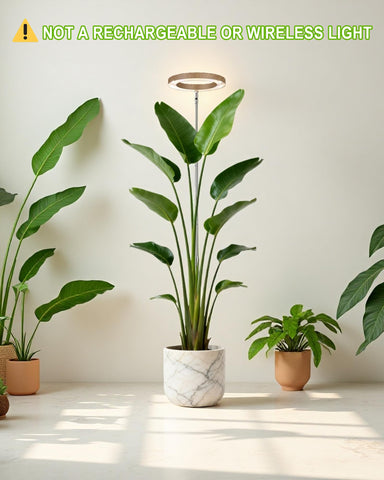yadoker close-up de LEDs full spectrum mostrando variedad y cobertura