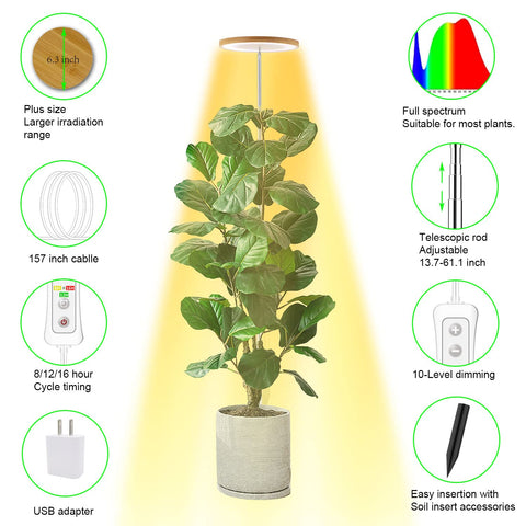 yadoker lámpara en uso en salón iluminando plantas grandes elegantemente