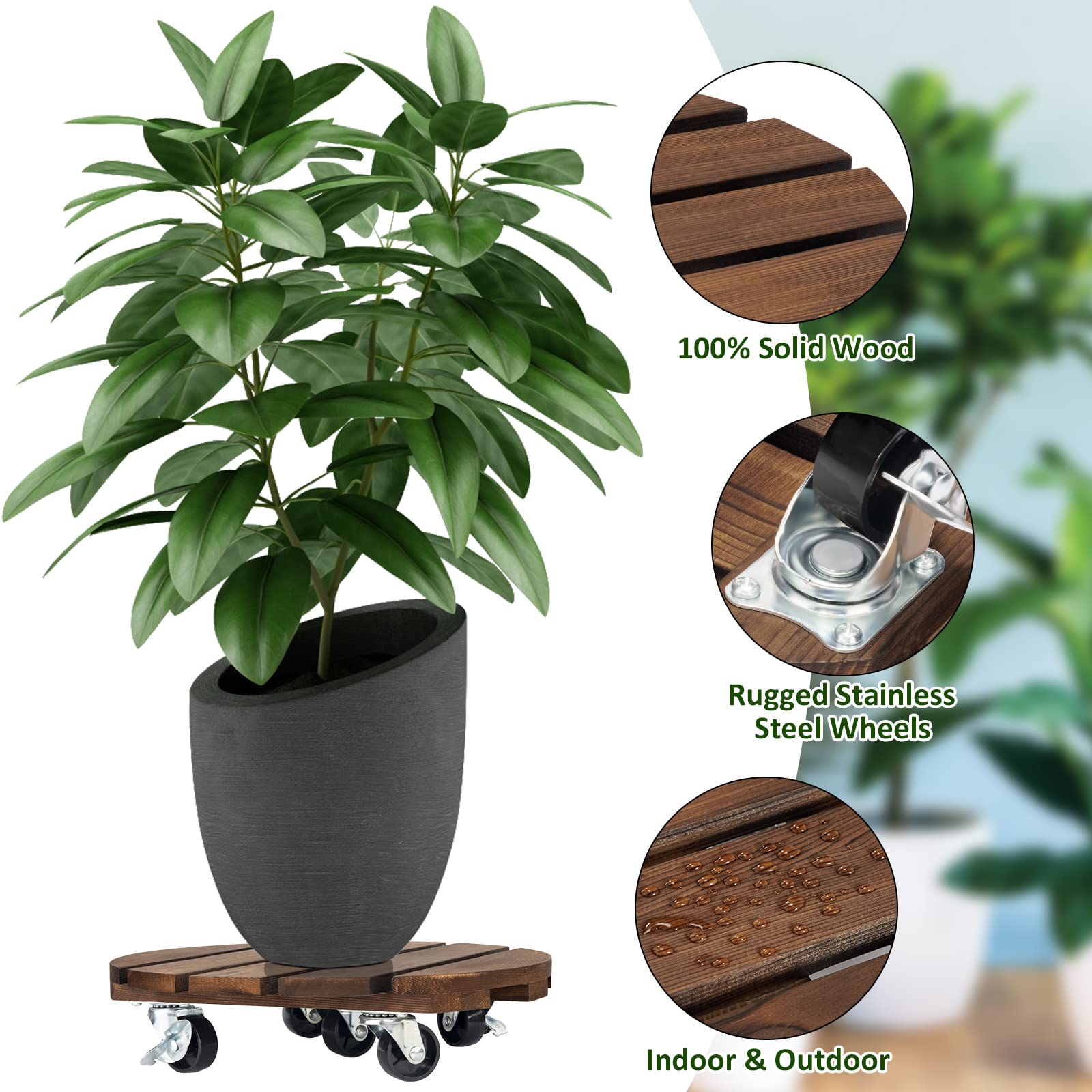 Yangbaga caddy con maceta en salón facilita mover plantas sin levantar