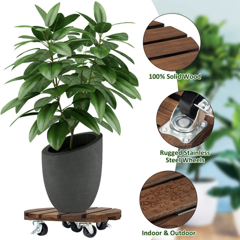Yangbaga caddy con maceta en salón facilita mover plantas sin levantar