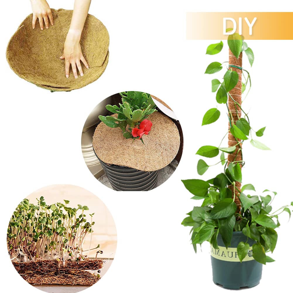 Yarrdfir forro en cesta colgante con plantas, mejora drenaje