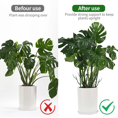 Yhtpouqe cinta de jardinería desplegada útil para atar y ajustar plantas