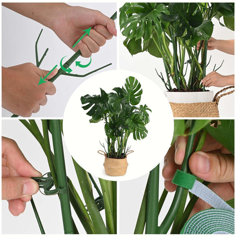 Yhtpouqe estacas ensambladas en maceta sosteniendo planta, guía estable