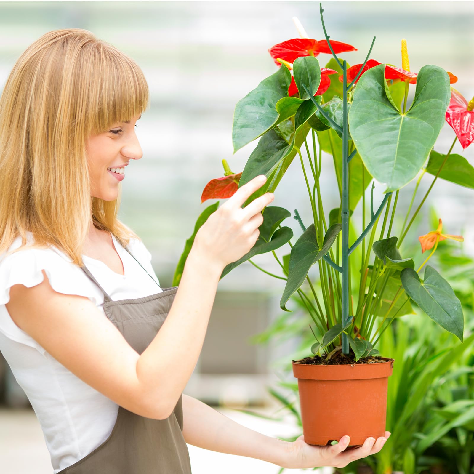 Yhtpouqe soporte guiando una monstera para crecimiento ordenado