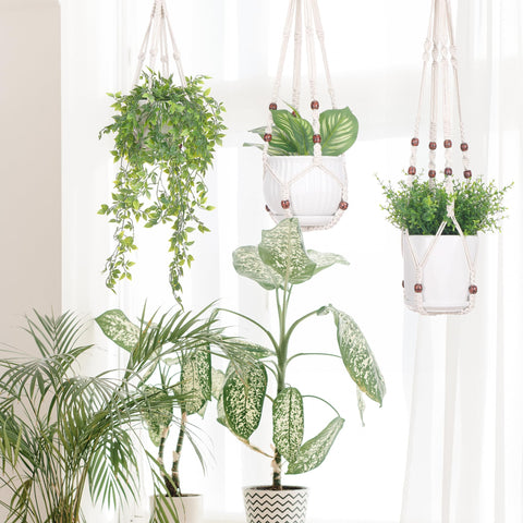 YIBOT colgadores en salón mostrando plantas y ambiente acogedor