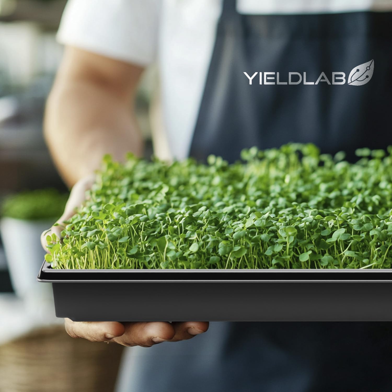 Yield Lab usada como bandeja de goteo para controlar agua y evitar derrames