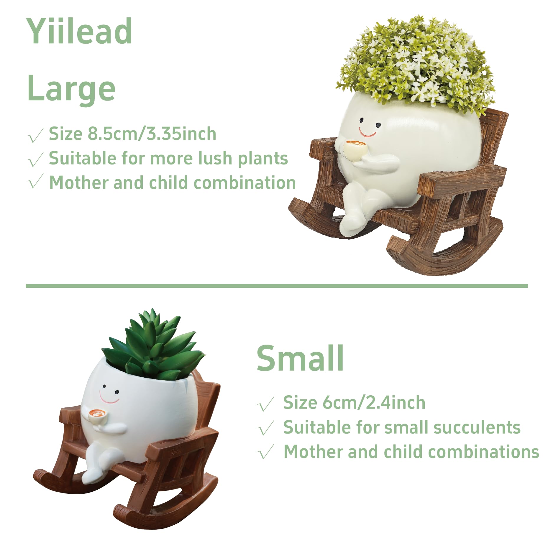 yiilead maceta con suculenta instalada, ideal para plantas pequeñas