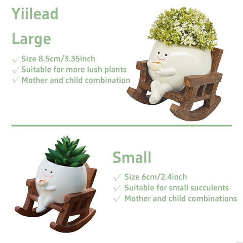 yiilead maceta con suculenta instalada, ideal para plantas pequeñas