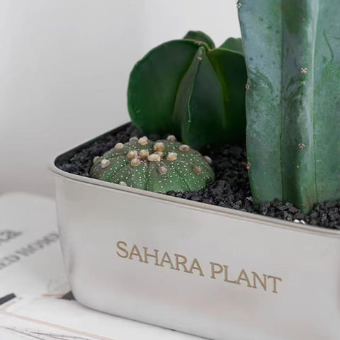 YISZM decoración en vaso para terrario añade contraste y durabilidad