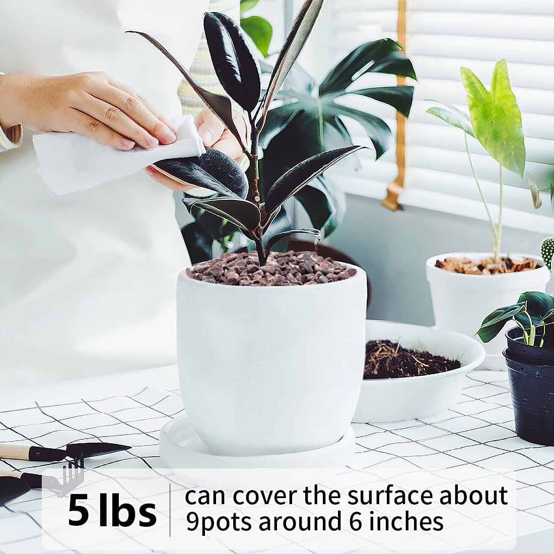 YISZM guijarros como cobertura en maceta de suculenta para estética