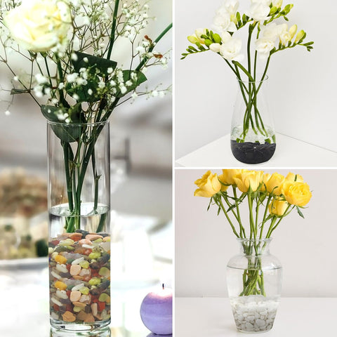 YISZM entorno interior con plantas y piedras mostrando estética decorativa