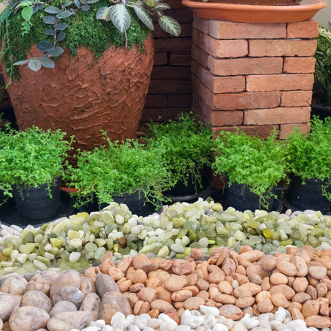 YISZM piedras en mini jardín realzando diseño y contraste