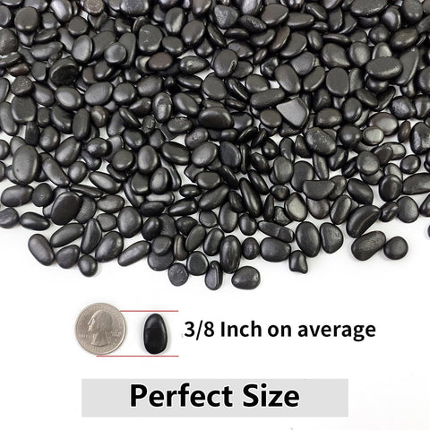 YISZM maceta con suculenta y capa superior de piedras para protección y aspecto limpio