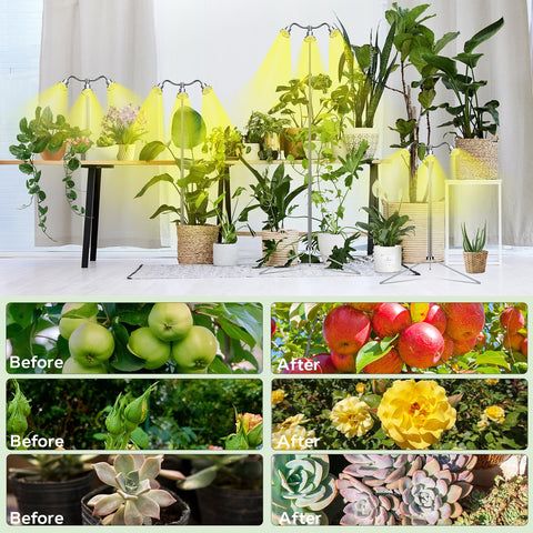Yiyehu lámpara encendida junto a plantas interiores mostrando crecimiento uniforme