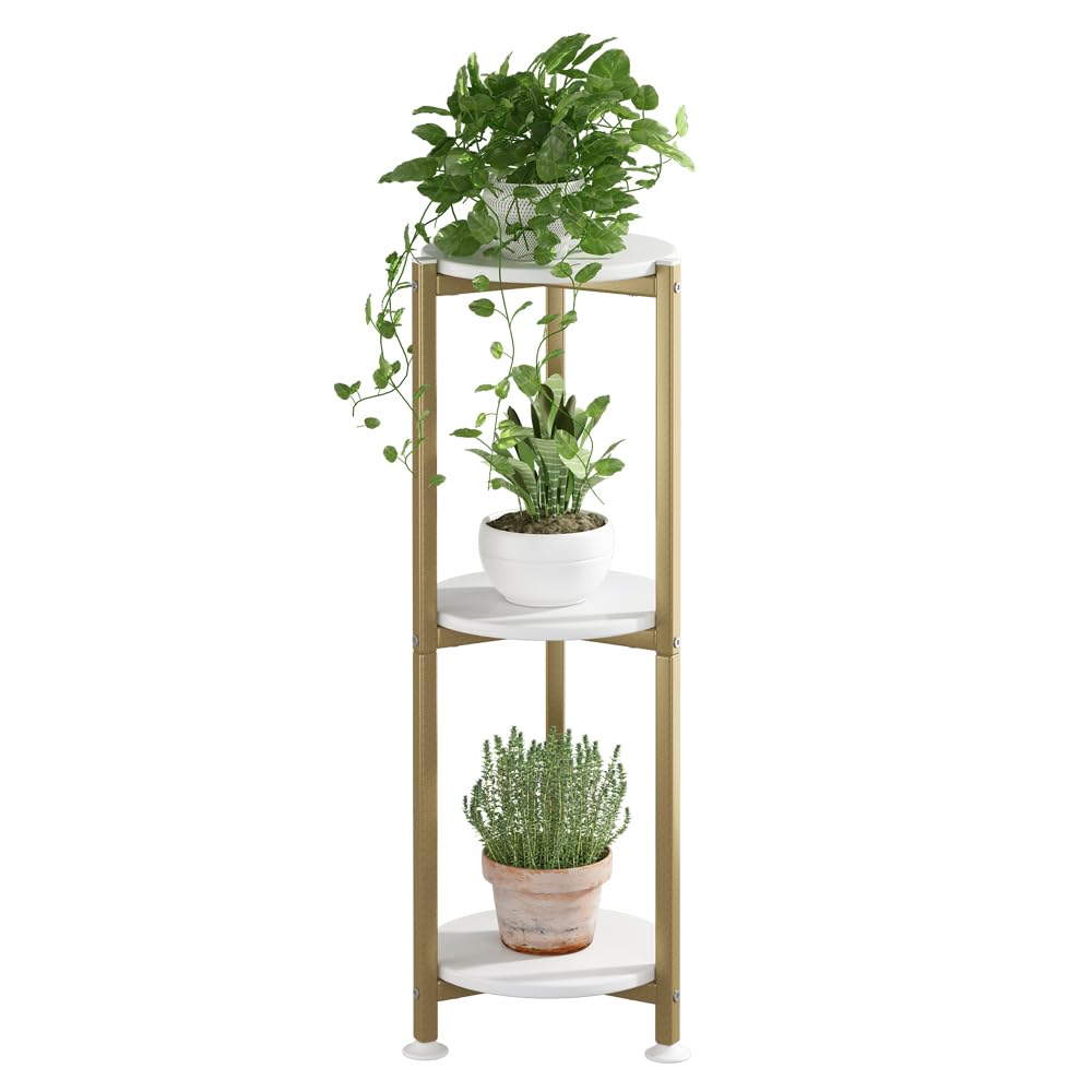 YIZAIJIA soporte de planta frontal mostrando diseño estable y compacto