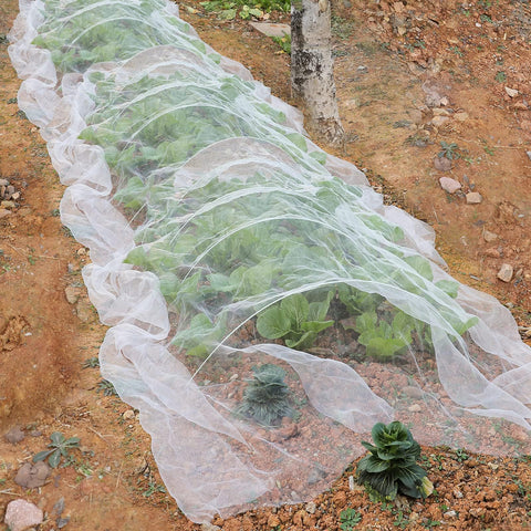 Comparación de tamaño YNERHAI 10x25 ft junto a herramientas de jardín para escala
