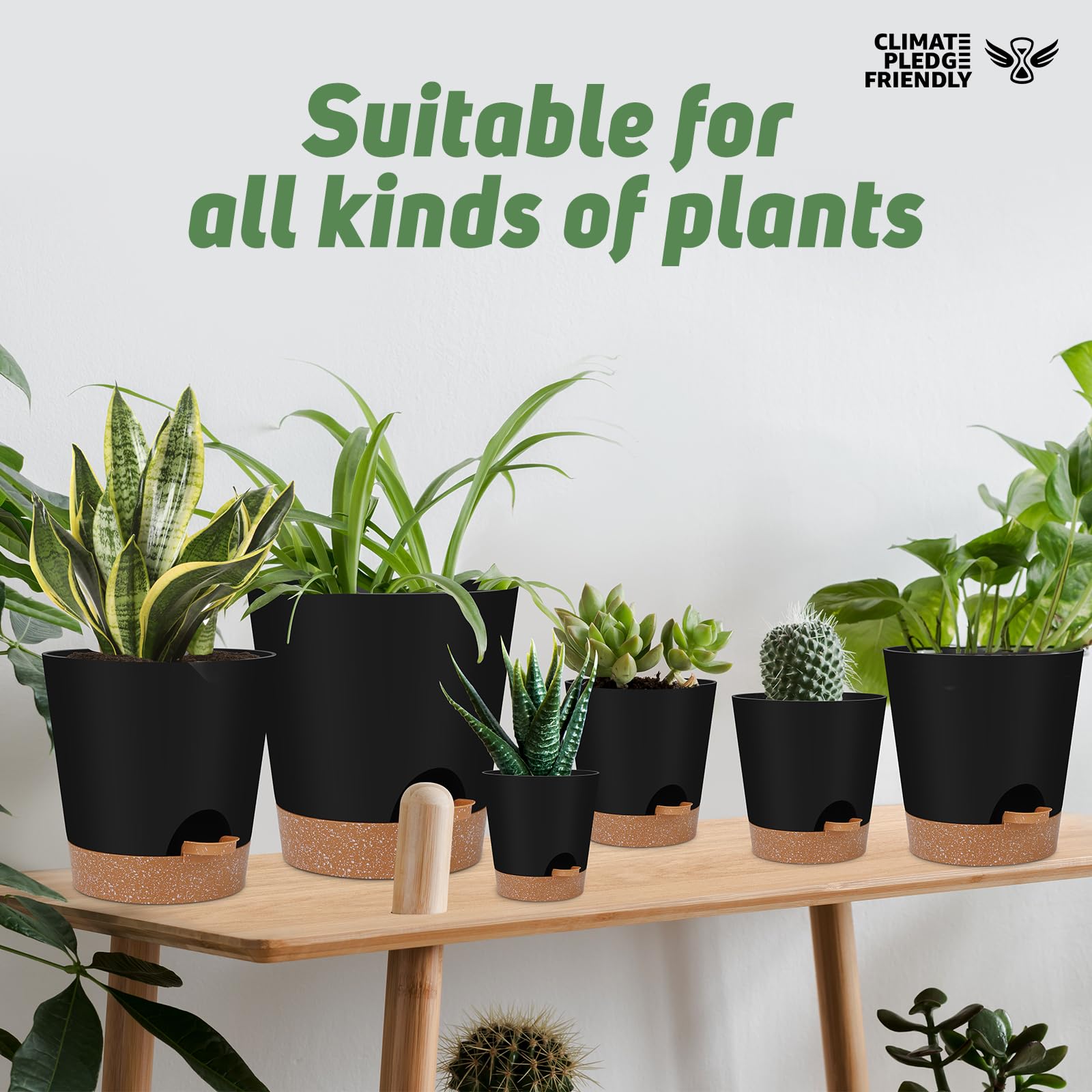 YNNICO embalaje y etiqueta carbono-free, regalo sostenible