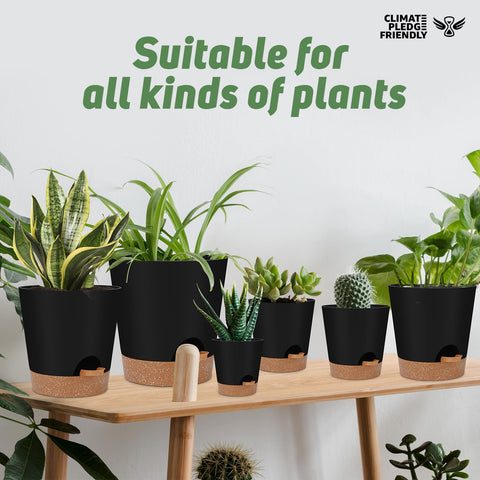YNNICO embalaje y etiqueta carbono-free, regalo sostenible