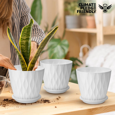 YNNICO etiqueta de certificación Carbonfree evidenciando material ecoamigable