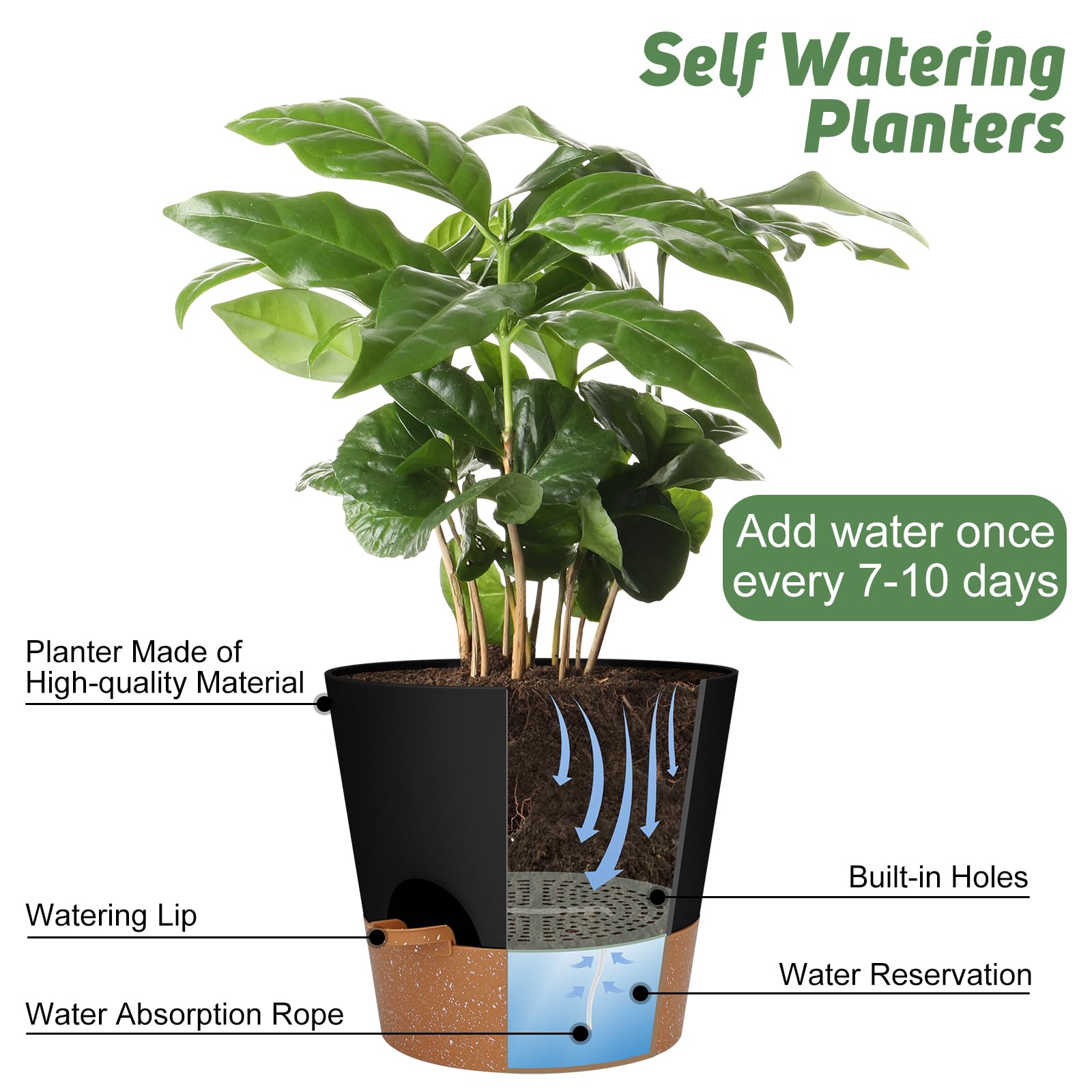 YNNICO maceta en interior con planta, aporta estilo y buen drenaje a tus espacios