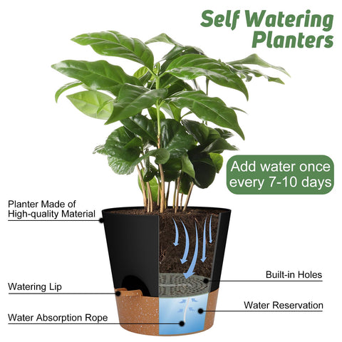 YNNICO maceta en interior con planta, aporta estilo y buen drenaje a tus espacios