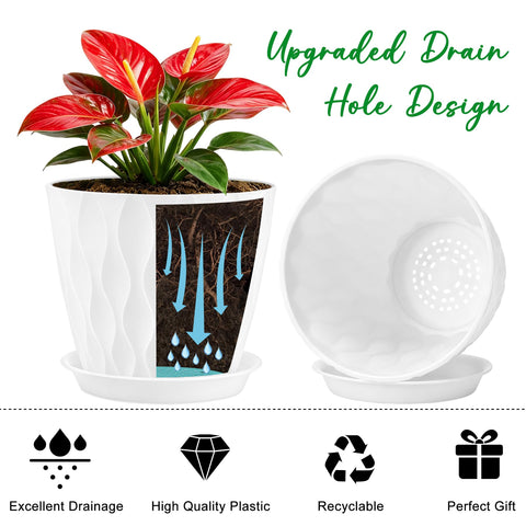 YNNICO maceta con planta demostrando soporte ideal para interior