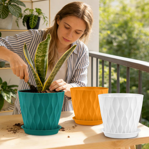 YNNICO maceta en uso sobre estantería realzando planta y decoración