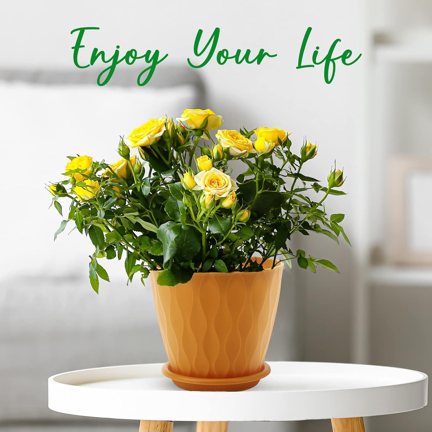 YNNICO macetas con plantas de interior mejorando decoración y salud de planta