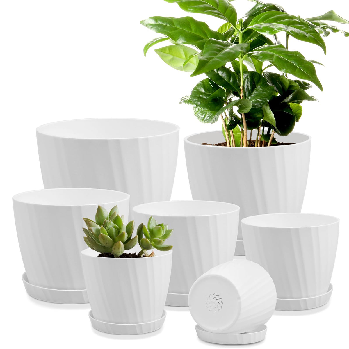 YNNICO set frontal mostrando siete macetas blancas y diseño minimalista